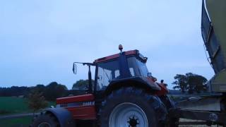 Case IH 1455 XL Sound [upl. by Vastha510]