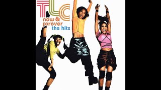 TLC  Unpretty Dont Look Any Further Remix [upl. by Dyann447]