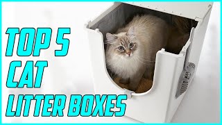 5 Best Cat Litter Boxes for 2023 [upl. by Rooney29]