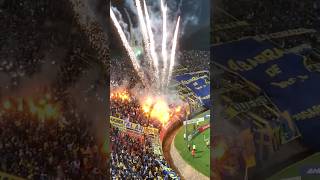 La hinchada de Boca 🔥💙💛 boca reels youtubeshorts [upl. by Sorips110]