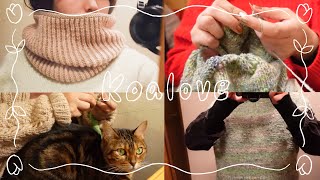 knitting vlog｜野呂毛糸でベストを編む三が日🎍🐏 [upl. by Llewej]