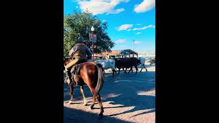 stockyards show forthworth texas ❤️ [upl. by Ekyt237]