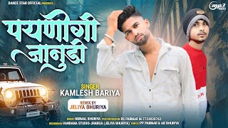 परणिगी जानूडी  parnigi jaanudi  Kamlesh bhariya timli Song 202425  dj sision song dj Rimix [upl. by Eelyrag]