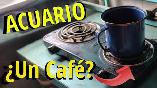 Signo Acuario ♒ Vamos a tomarnos un café ☕ [upl. by Chaunce852]