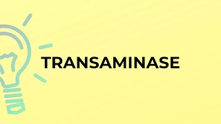 What is the meaning of the word TRANSAMINASE [upl. by Asenev81]