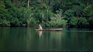 In der Hängematte auf dem Amazonas Doku [upl. by Enyehc]