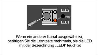 Sommer Handsender am Duo Vision Torantrieb einprogrammieren [upl. by Arriaet]