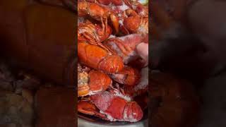 crayfish crayfishvideo crayfishing londonlife shorts viralvideo [upl. by Anala]