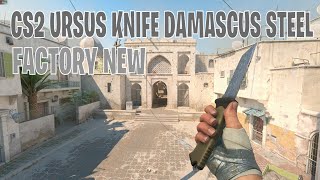 Ursus Knife Damascus Steel  CS2 Skin Showcase 253 [upl. by Oirazan871]