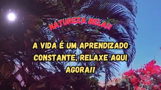 Natureza  A vida é um aprendizado constante relaxe aqui agora [upl. by Pirozzo405]