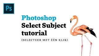 Afbeelding vrijstaand maken in Photoshop CC 2018 met één klik [upl. by Atinus]