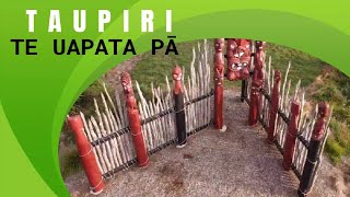 NEW ZEALAND MAORI SITE TAUPIRI [upl. by Selene]