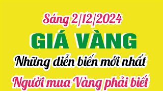 Giá vàng hôm nay 9999 ngày 2 tháng 12 năm 2024 GIÁ VÀNG NHẪN 9999Bảng giá vàng sjc 24k 18k 14k [upl. by Aehsa]