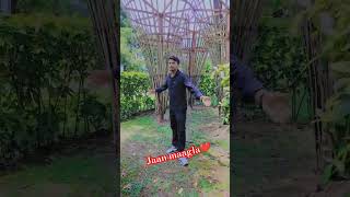 Jaan maagla😘 love vairalvideo ytstuduo saptarishivnathvlogs bhojpuri trendingshorts song [upl. by Olshausen539]