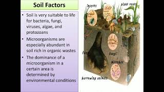 III BSc CBZ Botany Edaphic Factors By Dr Vinayaka KS [upl. by Verine572]