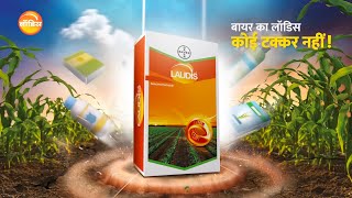 Best Herbicide for Maize लॉडिस Laudis Herbicide  Bayer Crop Science India [upl. by Kreegar]