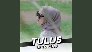 Tulus [upl. by Sil995]