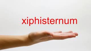 How to Pronounce xiphisternum  American English [upl. by Etnahc686]