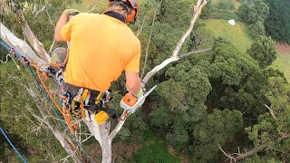 Into the lions den climbing a failed giant [upl. by Cochard]