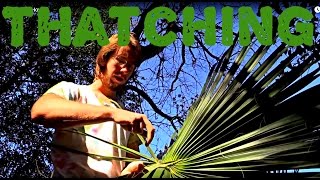 How to Thatch using Cabbage Palms Fronds [upl. by Ylle]