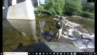 Fly Fishing Willowemoc Creek Catskills NY Dry Fly Hookups [upl. by Anni]