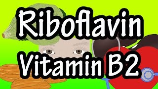 What Is Riboflavin Vitamin B2  Foods High In Functions And Benefits Of Riboflavin Vitamin B2 Per [upl. by Hesper]