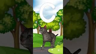 A for apple  अ से अनार  abcd  phonics song  a for apple b for ball c for cat shorts short [upl. by Aehsel243]