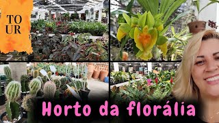 Horto da florália e orquidário  fiz um tour pra vocês [upl. by Rubens993]