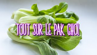 Tout sur le Pak Choi  Ce légume asiatique facile à cuisiner [upl. by Edny]