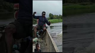 skilled anglergreenscreenfunanggerpapua fish [upl. by Malan]