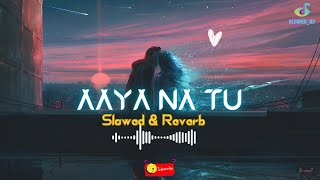 Aaya Na Tu Slowed amp Reverb Song Ft Arjun Kanungo amp Momina Mustehsan Slowed02 [upl. by Healion]