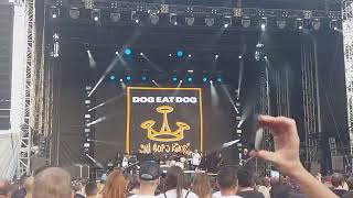 Dog Eat Dog  Never Give In Live In Prague 12062022 [upl. by Htebazie]