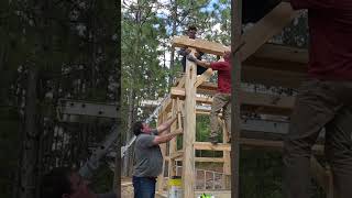 Timber Framing Kong Style [upl. by Halfdan]