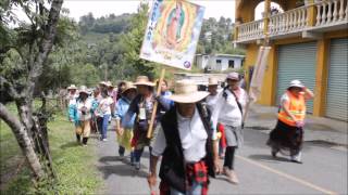 La 56 Peregrinación de Mujeres al Tepeyac por la Sierra Gorda [upl. by Farris424]