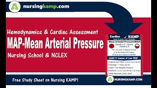 Hypotension NCLEX Review What is Mean Arterial Pressure Causes reasons Nursing KAMP MAP [upl. by Llertram]