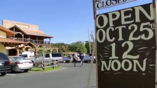 The Yellow Deli  Opening Day  October 25 2016 [upl. by Haag]