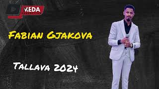 Fabian Gjakova Tallava HIT 2024 [upl. by Ahsercul]