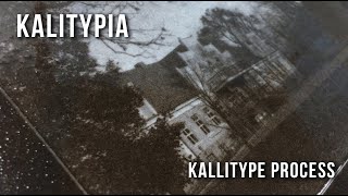 KALITYPIA  Kallitype Process [upl. by Vaden]