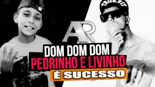 MC Pedrinho  Dom Dom Dom [upl. by Ratcliff]