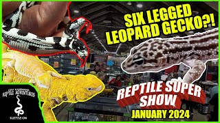 ODDEST REPTILES AT THE POMONA REPTILE SUPER SHOW January 2024 [upl. by Rot79]