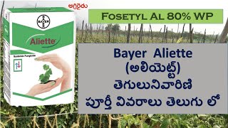 Bayer Aliette Fungicide in Telugu అలియెట్ట్ తెగులు నివారిణి  fosetyl al [upl. by Hazem]