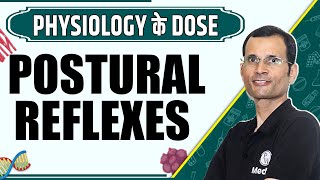 Postural Reflexes  1st Year MBBS  Dr Vivek  Physiology के Dose [upl. by Karilla]