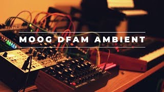 Impend  Moog DFAM Ambient [upl. by Okika822]