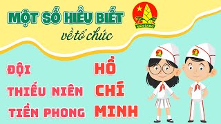 Một số hiểu biết về Đội Thiếu Niên Tiền Phong Hồ Chí Minh [upl. by Yaja511]