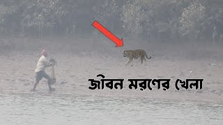 Sundarban Tiger Atacksundarban fishing videosundarban fishing banglaSundarban অভিযান [upl. by Eendys]