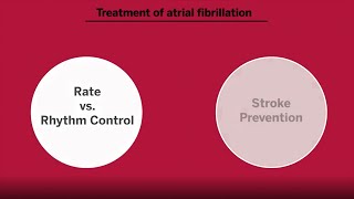 Anticoagulation in Atrial Fibrillation [upl. by Raynata]