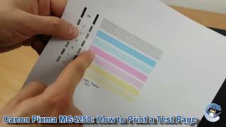 Canon Pixma MG4250 How to Print a Nozzle Check Test Page [upl. by Euqirne69]