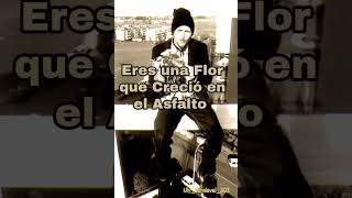 JOVANOTTI  Serenata Rap 1994 [upl. by Adnopoz968]