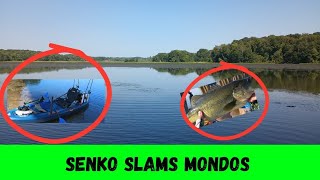 Potomac River kayak fishing with senkos 🎣 bassfishing bassproshops [upl. by Lahcar]