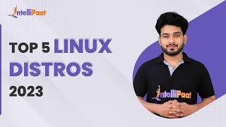 Linux Distro Explained  Top 5 Linux Distros 2023  Linux Ecosystem  Intellipaat [upl. by Erskine615]